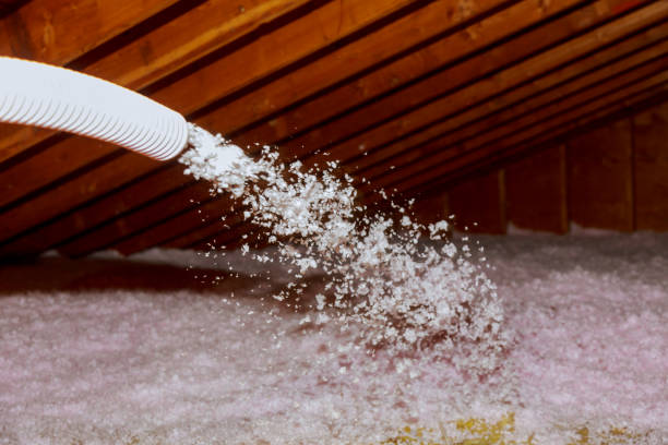 Trusted Beech Grove, IN Insulation Contractor Experts