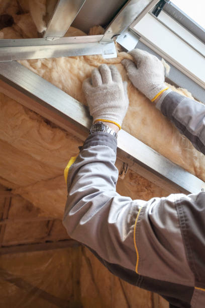 Best Eco-Friendly Insulation in Beech Grove, IN